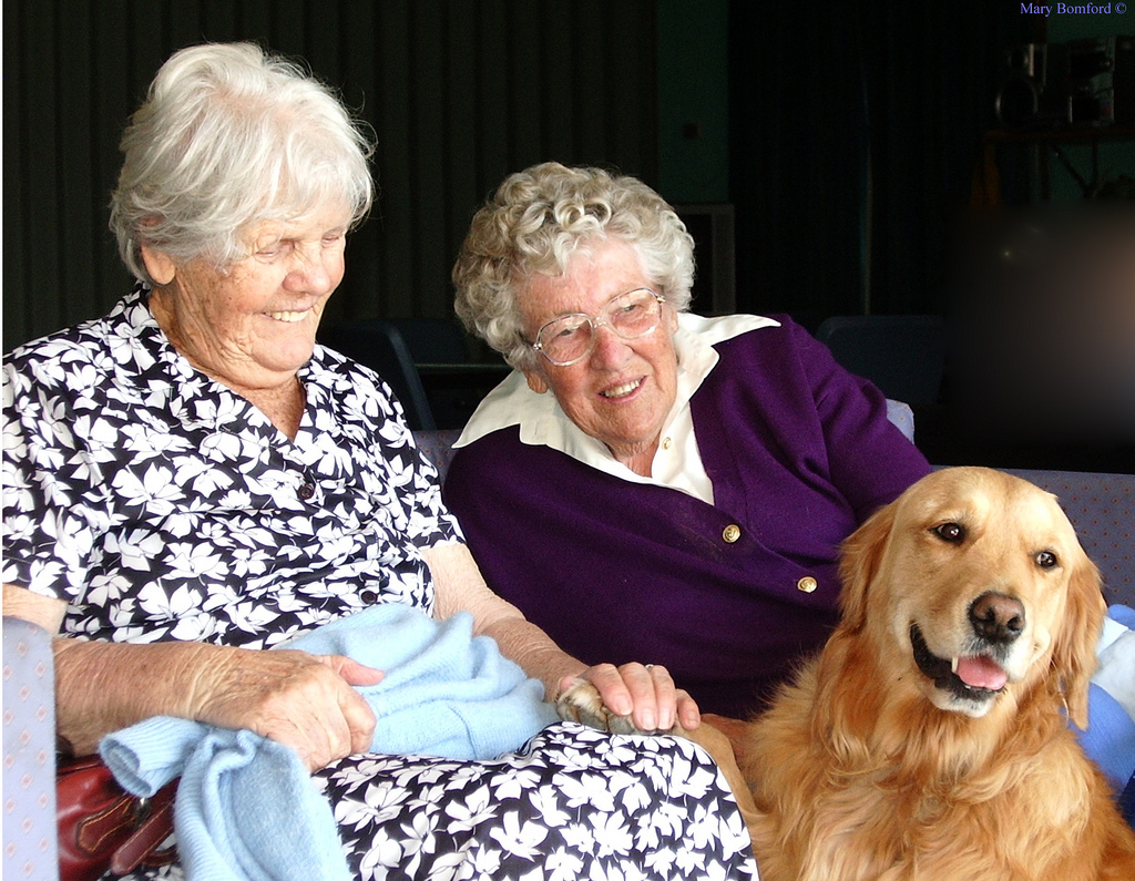 How care homes work for identifying and managing pain in dementia patients