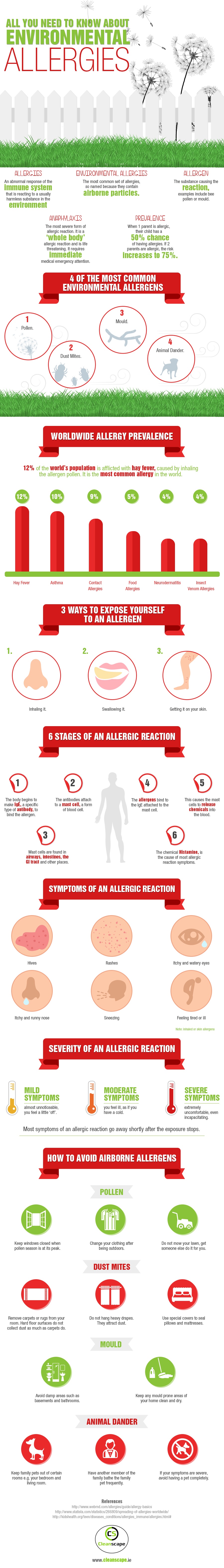 Need-to-Know-About-Environmental-Allergies