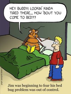 bedbugs-funny-image