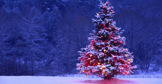 happy holidays and merry christmas
