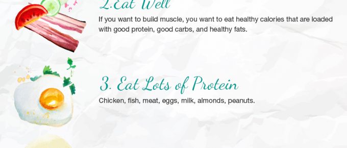Bulking Up Guide Infographic