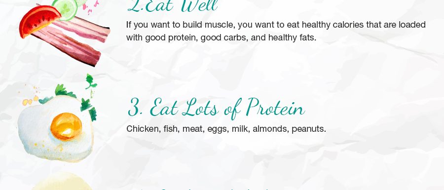 Bulking Up Guide Infographic