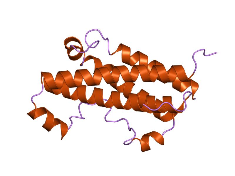 growth-hormone