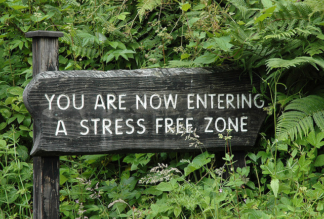 Stress Free Zone