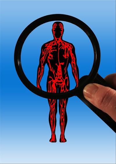 human-body
