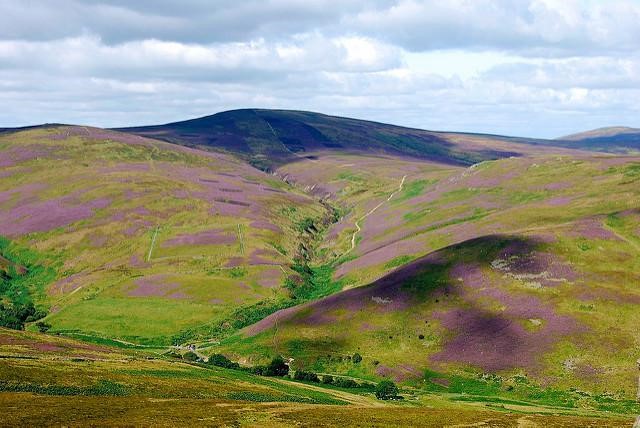 The Cheviot Hills - Northumberland - Creative Commons by plambertuk